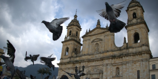 Palomas volando en la Plaza de Bolívar en Bogotá