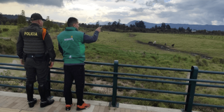 Grupo del IDPYBA y Policía Nacional en campo con caballos al fondo donde se atendió caso de presunto maltrato a equino en la localidad de Usaquén.