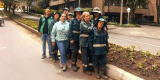 Trabajadores del Jardín Botánico de Bogotá posan junto a plantas recién sembradas en el separador vial de la calle 85, en Chapinero.