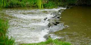 Flujo de agua descendiendo por una pequeña estructura de control hidráulico hacia un canal, rodeado de vegetación verde en una zona natural propensa a lluvias.