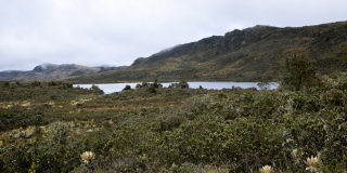 Paisaje de páramo andino con vegetación nativa, una laguna al centro y montañas cubiertas de neblina al fondo en la región de Bogotá.