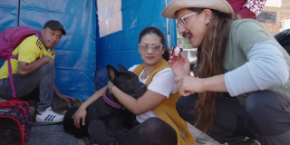 Imagen de Chema, el prsentador del programa en una jornada de esterilización animal.