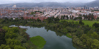 Foto que muestra un humedal y árboles 
