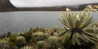 Páramo de Sumapaz - Foto: Pinterest