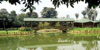 Actividades nocturnas gratuitas en el Jardín Botánico