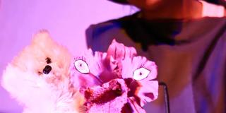 El Festival Centro es gratis, para los niños y las niñas