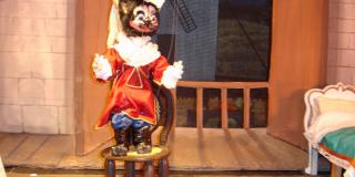 El gato con botas - Portal Bogotá - Foto:teatromayor.org