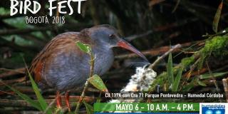 Bird Fest Bogotá 2018 - Foto: Humedales Bogotá