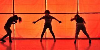 Obra: Del Otro Lado con La Compañía La Bestia - Foto: Compañía la Bestia