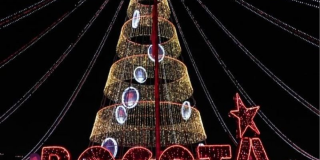 Un árbol de navidad, con muchas luces y enfrente la palabra "Bogotá" en luces rojas