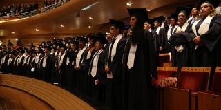 cursos de formación 