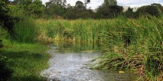 Paisaje del humedal Santa María del Lago.