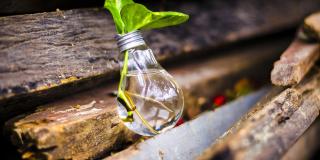 Reciclar - foto: pixabay 