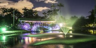 Una foto del jardín botánico en las actividades de la noche, iluminado por luces verdes