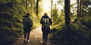 Dos personas de espaldas, caminando por un sendero ecológico lleno de arboles a su alrededor