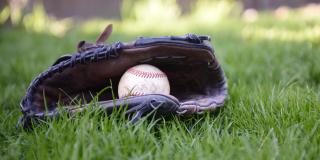 Festival infantil de Béisbol