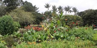 Imagen del Jardín Botánico de Bogotá