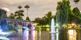 Foto del Jardín Botánico de noche con una gran fuente encendida.