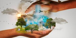 Procesos orientados al fortalecimiento de las competencias ciudadanas y de las organizaciones sociales, comunales y comunitarias para la participación.