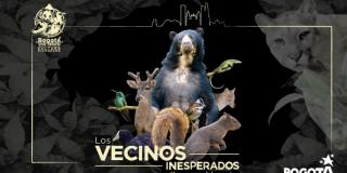 Evento de MI Fiesta No Brava