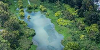 Día de los humedales en el Parque Nacional en Bogotá 