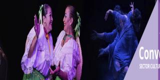 Oferta del Programa Distrital de Estímulos para la cultura 2020