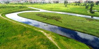 Conoce como lograremos reverdecer Bogotá en este foro virtual 