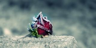 En los 482 años de Bogotá se rendirá homenaje a fallecidos por COVID-19