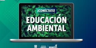 ¡Prográmate y aprende con nosotros!