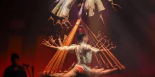 La Gerencia de Arte Dramático del Idartes invita a toda la ciudadanía a conectarse con esta agenda y disfrutar cada uno de estos contenidos que dejan ver el talento de los hombres y las mujeres del teatro y el circo de la ciudad. Foto: IDARTES.