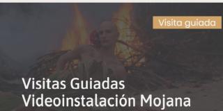 Visitas guiadas - Videoinstalación Mojana. 