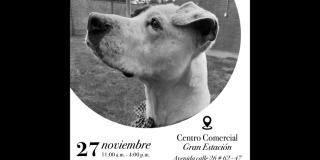Este 27 de noviembre: Jornada de adopción de animales en el centro comercial Gran Estación