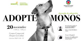 Adopta un animal de compañía en el centro comercial Parque La Colina