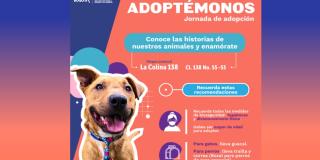 La jornada será de 10:00 a.m. a 3:00 p.,m, en el Centro Comercial Colina 138