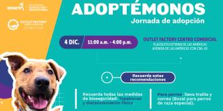Jornada de animales de compañía en el Outlet Factory Centro Comercial