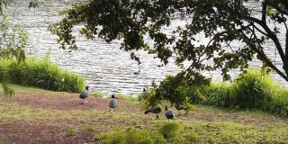 Recorridos gratis en parques ecologicos la ultima semana de febrero 