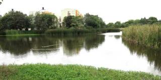 Recorridos en humedales y parques ecológicos de Bogotá en febrero