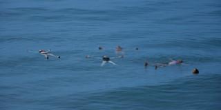 Acariciame mujer: encuentro de la programación de Casona de la Danza