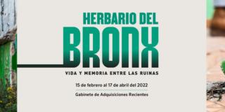 Exposición el herbario del Bronx (Museo Nacional/FUGA) Recorridos en la L