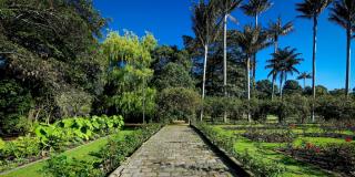 Talleres con el Jardín Botánico y la Esquina Redonda