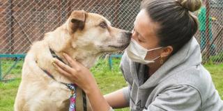 Este fin de semana: Jornada de adopción de animales en Unicentro