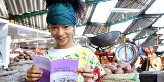 Programación en plazas IPES 2022