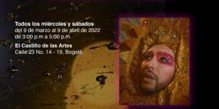 imagen La fotografía, el video, el performance, las redes sociales y yo aquí 