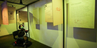 Mujer viendo exposición