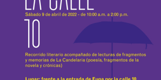 Imagen lanzamiento libro al viento