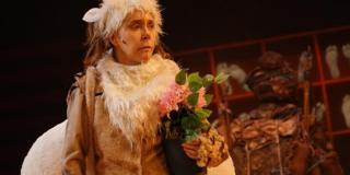 Historia de una oveja, otra mirada de la migración