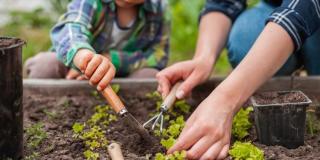Caminata salvemos el suelo
