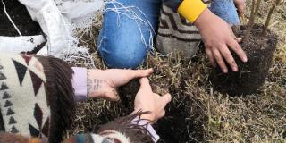 Jornada de jardineria en el Área Arqueológica Protegida El Carmen