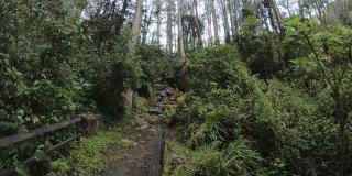 Caminata ecológica a la quebrada La Vieja el 2 de junio: programación