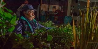 Exposición "Premio fotografía- las Plazas de Mercado del Centro de Bogotá"